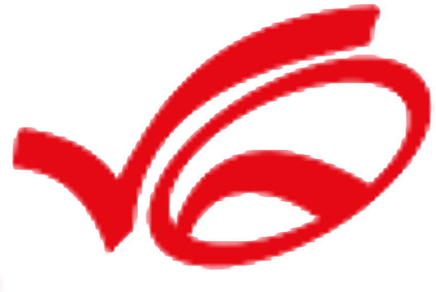 Vienna Vision logo